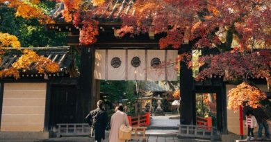 Vi vu Nhật Bản vào tháng 11 có gì  hot?