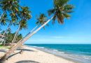 Du lịch lễ 2/9 –  Check in Phan Thiết – Mũi Né lễ siêu tiết kiệm
